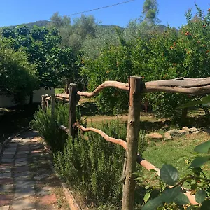 Bed & Breakfast S'imbragu Farm